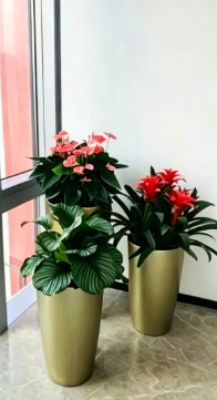 宁波绿植租摆咨询八个细节，决定效果